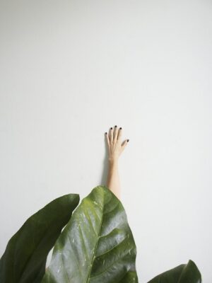 A hand reaching out from behind green leaves on a white minimalist background.