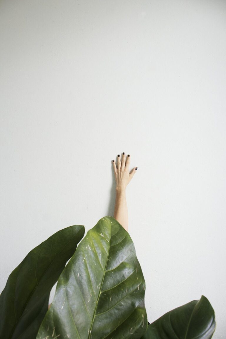 A hand reaching out from behind green leaves on a white minimalist background.