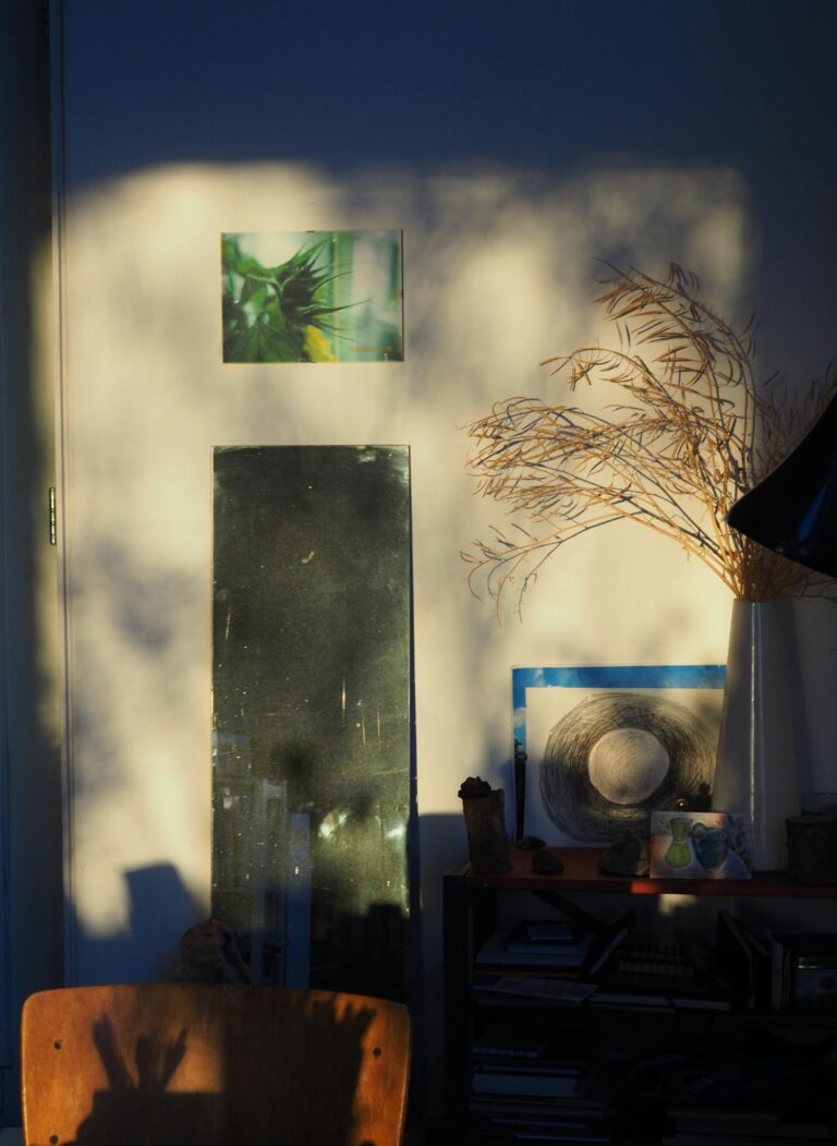 Cozy interior corner featuring sunlight casting shadows, art pieces, and dried plants.